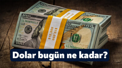 Döviz piyasalarında dalgalanmalar sürüyor. Küresel ekonomik gelişmeler ve Türkiye Cumhuriyet