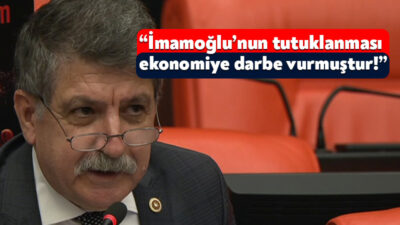 Cumhuriyet Halk Partisi Kocaeli Milletvekili Prof. Dr. Muhip Kanko, TBMM