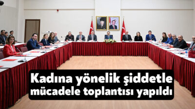 Şiddetle mücadele kapsamında sunulan hizmetlerin etkin bir şekilde yürütülmesi ve
