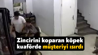 Kocaeli'de erkek kuaföründe zincirini koparan köpek tıraş olan müşteriyi