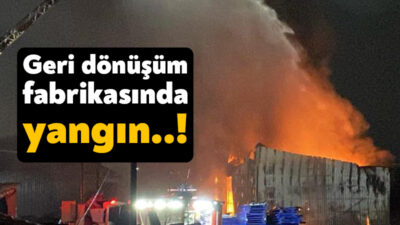 Kocaeli'nin Kartepe ilçesinde geri dönüşüm fabrikasında yangın çıktı. Gecenin karanlığı