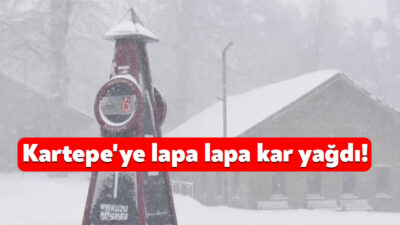 Meteorolojinin uyarılarının ardından Kocaeli'nin yüksek kesimlerinde kar yağışı etkisini sürdürüyor.
