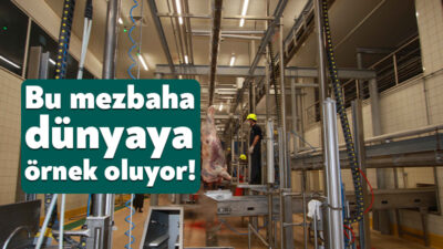 Büyükşehir Belediyesi bünyesinde hizmet veren ve modern teknik donanıma sahip