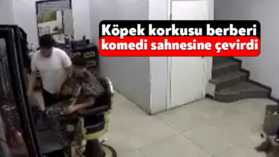 Kocaeli'de erkek kuaföründe zincirini koparan köpek tıraş olan müşterinin üstüne