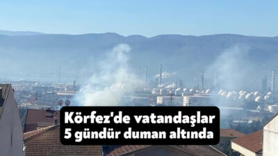 Kocaeli'de Karayolları Bölge Müdürlüğü ekipleri, TEM Otoyolu Körfez ilçesinde budama