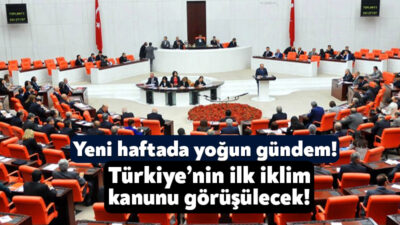 Türkiye Büyük Millet Meclisi yeni haftada yoğun bir gündemle toplanacak.