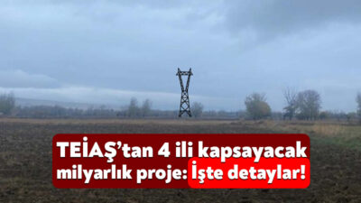 TEİAŞ 4 ili kapsayan elektrik iletim hattı projesi için ÇED