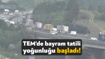 Ramazan Bayramı tatil dolayısıyla yola çıkmaya başlayan sürücüler, TEM Otoyolu'nun