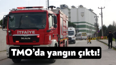 Kocaeli'de Toprak Mahsulleri Ofisi silolarında çıkan ufak çaplı yangın çalışanlar