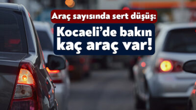 Türkiye İstatistik Kurumu şubat ayındaki motorlu kara taşıtlarının verilerini kamuoyu