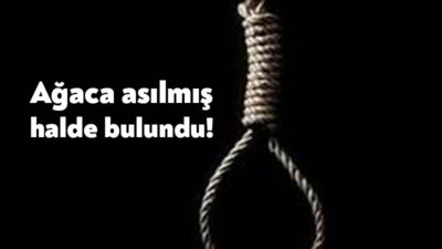 Kocaeli'nin Karamürsel ilçesinde Dursun Ali Aslan (57) isimli şahıs, ağaca