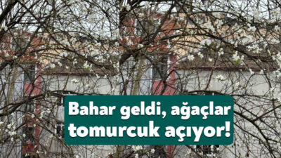 Kocaeli’de şubat ayında etkili olan soğuk ve kar yağışlı hava