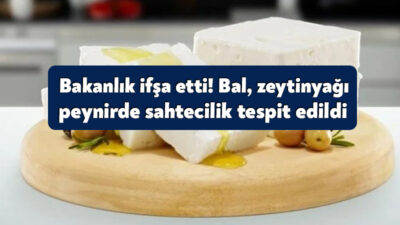 Tarım ve Orman Bakanlığı, halk sağlığını korumak amacıyla yürüttüğü denetimler
