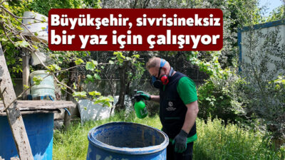 Büyükşehir Belediyesi, halk sağlığının korunması amacıyla her sene olduğu gibi