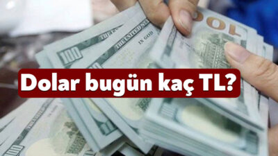 Küresel piyasalarda ve Türkiye’de yaşanan gelişmeler döviz kurunu da etkiliyor.