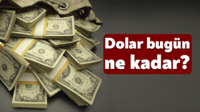 30 NİSAN ANLIK DÖVİZ KURU: Döviz kurlarında hareketlilik devam ediyor.
