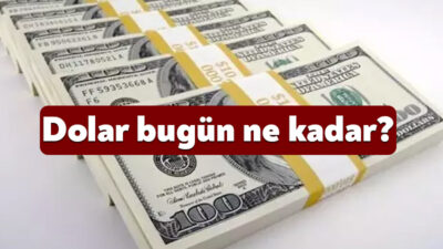 Dünyada yaşanan gelişmeler ve Türkiye’de ekonomiye yönelik olarak atılan adımlar