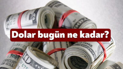 Dünyada ve Türkiye’de yaşanan gelişmeler döviz kuruna etki etmeye devam