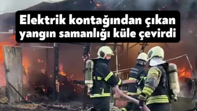 Kocaeli'nin Karamürsel ilçesinde elektrik kontağından çıkan yangın samanlığı küle çevirdi,