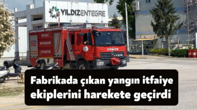 Kocaeli'nin Kartepe ilçesinde bulunan Yıldız Entegre fabrikasının açık alanında çıkan