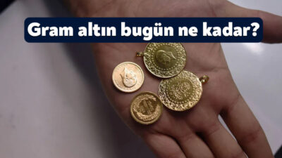 İç ve dış piyasada yaşanan gelişmeler döviz kurunun yanı sıra