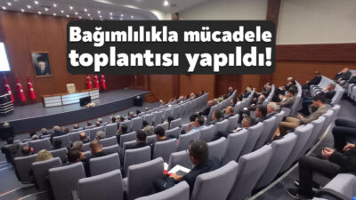 Madde bağımlılığının azaltılması ve önlenmesi, madde bağımlılarının eğitilmesi ve topluma