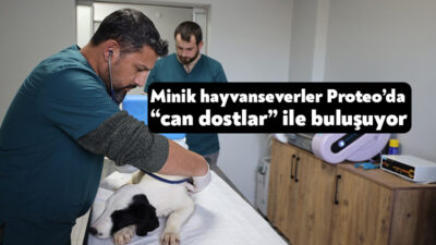 Başiskele Belediyesi tarafından sokak hayvanlarının bakımı, tedavisi ve rehabilitasyonu için
