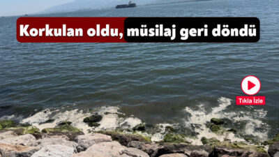 2021 yılında başlayan ve Marmara Denizi’nde çevre felaketine dönüşen müsilaj,