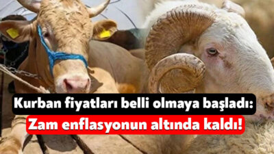 6 Haziran’da başlayacak olan Kurban Bayramı öncesinde kurbanlık fiyatları da