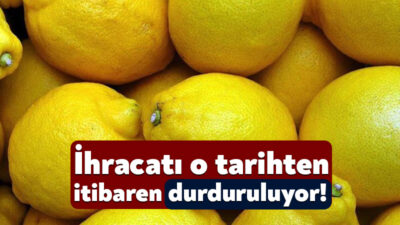 Ticaret Bakanlığı ile Tarım ve Orman Bakanlığı arasında yapılan değerlendirme
