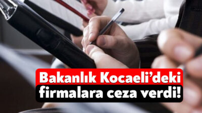 Milli Eğitim Bakanlığı Çayırova İlçe Milli Eğitim Müdürlüğü Gebze ve