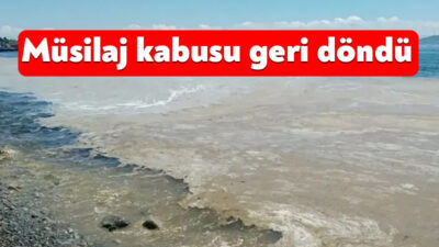 Türkiye’de 2021 yılında neredeyse tüm sahilleri saran müsilaj kabusu, geri