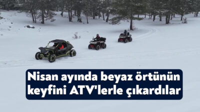 İlkbahar mevsiminde olunmasına rağmen Kocaeli'nin yüksek kesimlerine yağan kar, doğaseverleri