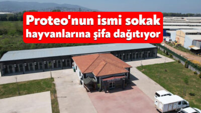 "Asrın felaketi" olarak adlandırılan Kahramanmaraş merkezli depremlerde Meksika'dan gelerek
