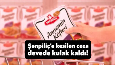 Türkiye’nin en büyük kanatlı et üreticisinin “anne köftesi” adlı ürününde