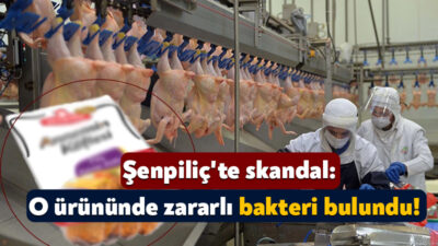 Sakarya İl Tarım ve Orman Müdürlüğü ekiplerince Şenpiliç’in ‘Annemin Köftesi