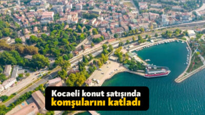 Türkiye genelinde Mart ayında 110 bin 795 konut satıldı. TÜİK