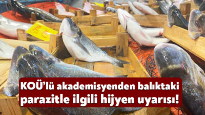 Kocaeli'de pazardan alınan balıkların içinden çıkan parazitler, vatandaşları tedirgin etti.