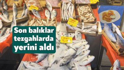 Balık avı sezonu 15 Nisan'da sona ererken, Kocaeli'de balıkçılar sezonun