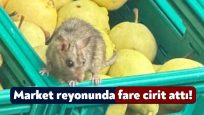İzmit’teki bir marketin manav reyonunda rafların üzerinde farenin gezdiğini gören
