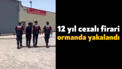 Kocaeli'de jandarma ekipleri, 12 yıl kesinleşmiş hapis cezası ile aranan