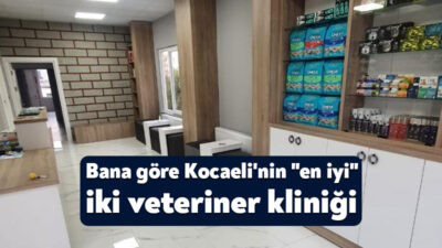 Evcil hayvan sahipliği, çoğu zaman bir arkadaşlık ilişkisi gibi görünse