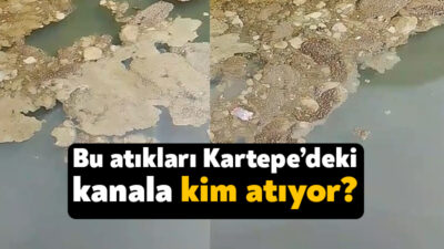 Antik Köfte’nin bahçesinin kenarında akan kanaldaki görüntüler tepki çekti. Kanalın