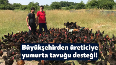 Büyükşehir Belediyesi, kentte yumurta tavukçuluğun geliştirilmesi ve çiftçilerin gelir düzeyinin