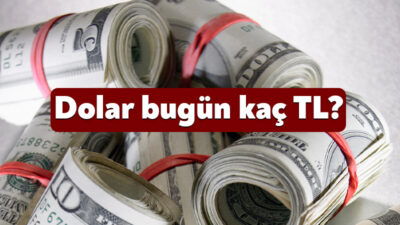 Dünyada ve Türkiye’de yaşanan gelişmeler döviz kurunu etkilemeye devam ediyor.