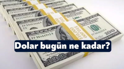 Küresel piyasalardaki gelişmeler ve Türkiye Cumhuriyet Merkez Bankası'nın (TCMB) faiz