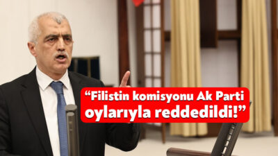 DEM Parti Grubu adına TBMM Genel Kurulda konuşan Kocaeli Milletvekili