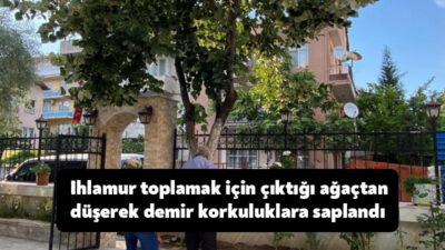 Kocaeli'nin İzmit ilçesinde ıhlamur toplamak için ağaca çıkan ve dengesini