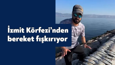 Kocaeli Büyükşehir Belediyesi’nin temizlik çalışmaları meyvelerini veriyor.Her gün yüzlerce balık
