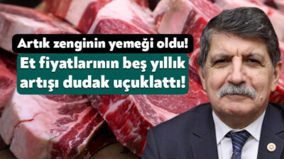 CHP Kocaeli Milletvekili Prof. Dr. Muhip Kanko, Meclis Genel Kurulu’nda